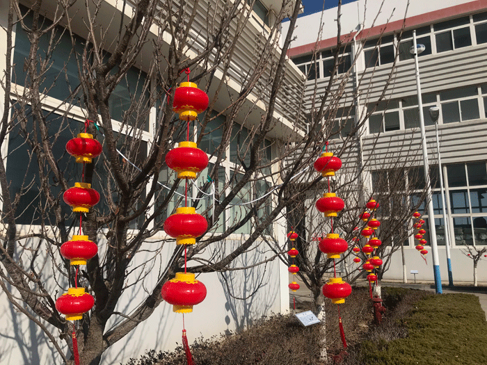 烟台必一网页版化工恭祝大家2021牛年行大运